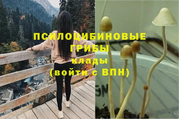 шишки Бугульма