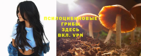 скорость Верхний Тагил