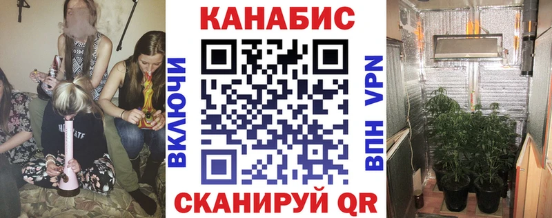 где найти наркотики  Ветлуга  Бошки Шишки Ganja 